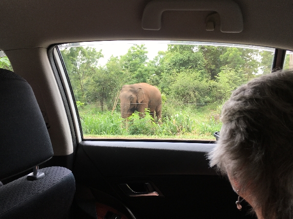 trip photo -