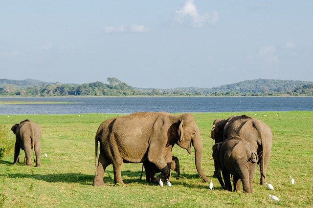 lanka tours melbourne